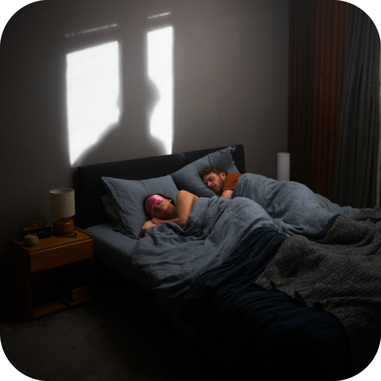 Alarme compatbile avec animaux