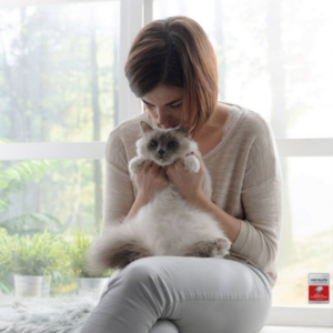 Alarme compatbile avec animaux